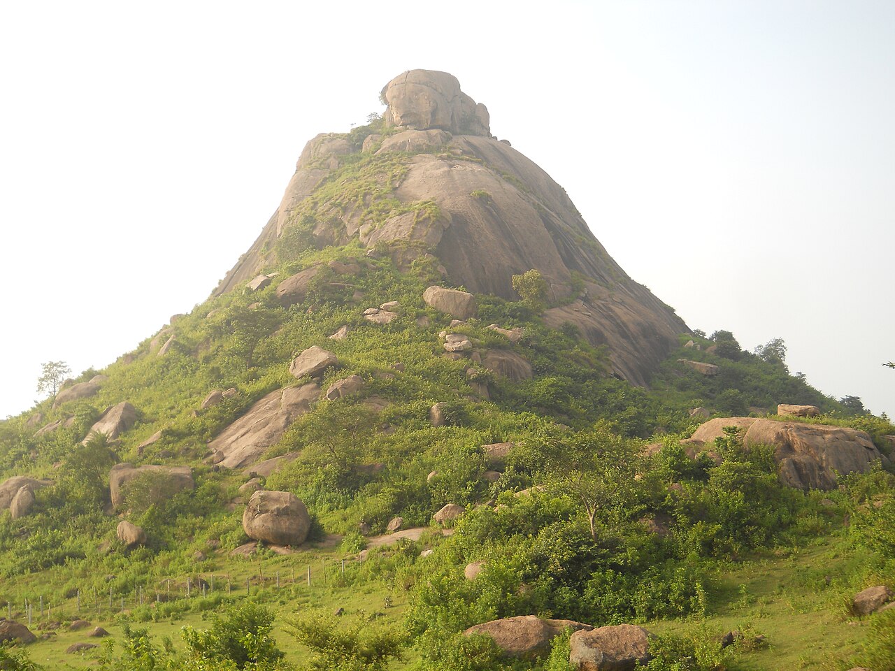 Green slopes and granite rock at Joychandi Hill